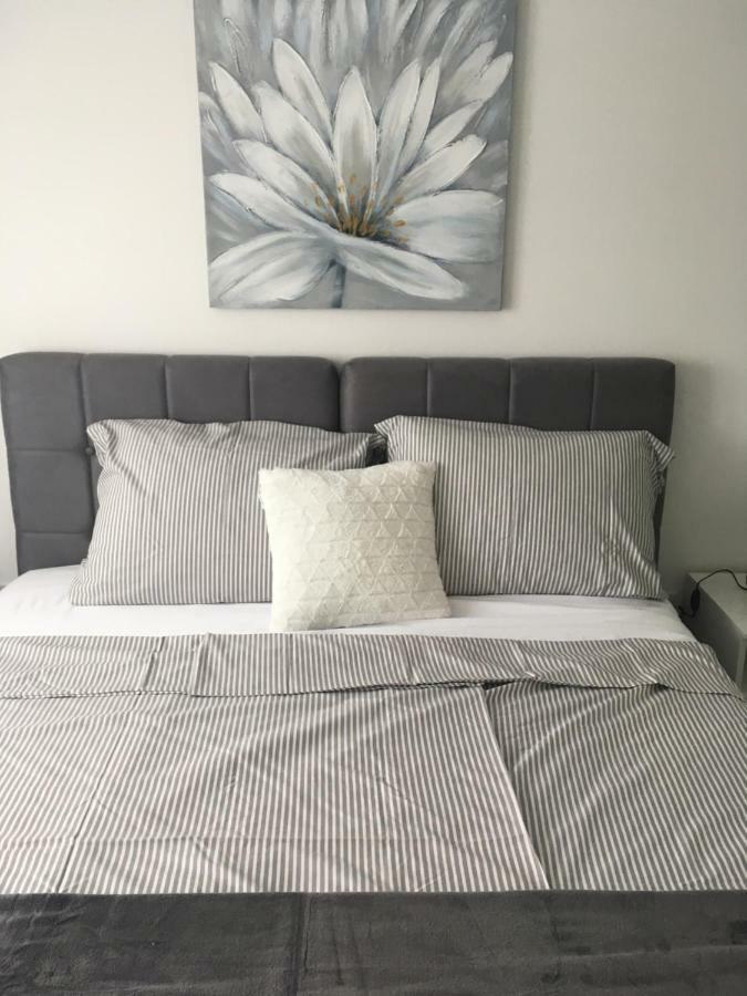 Luxury Apartments Vucinic פירובאץ מראה חיצוני תמונה
